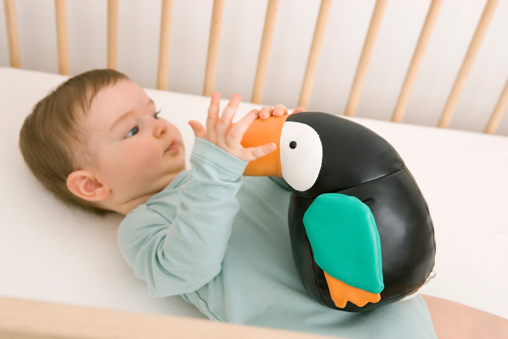 Jean the Toucan