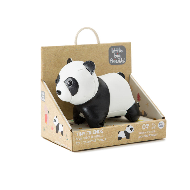 Luca le Panda