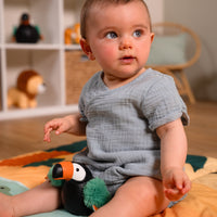 Jean the Toucan
