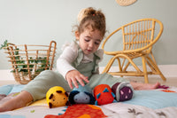 Set de 4 balles doudous - Les Amis Dinos