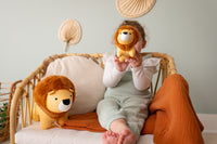 Jackson the Lion - New design