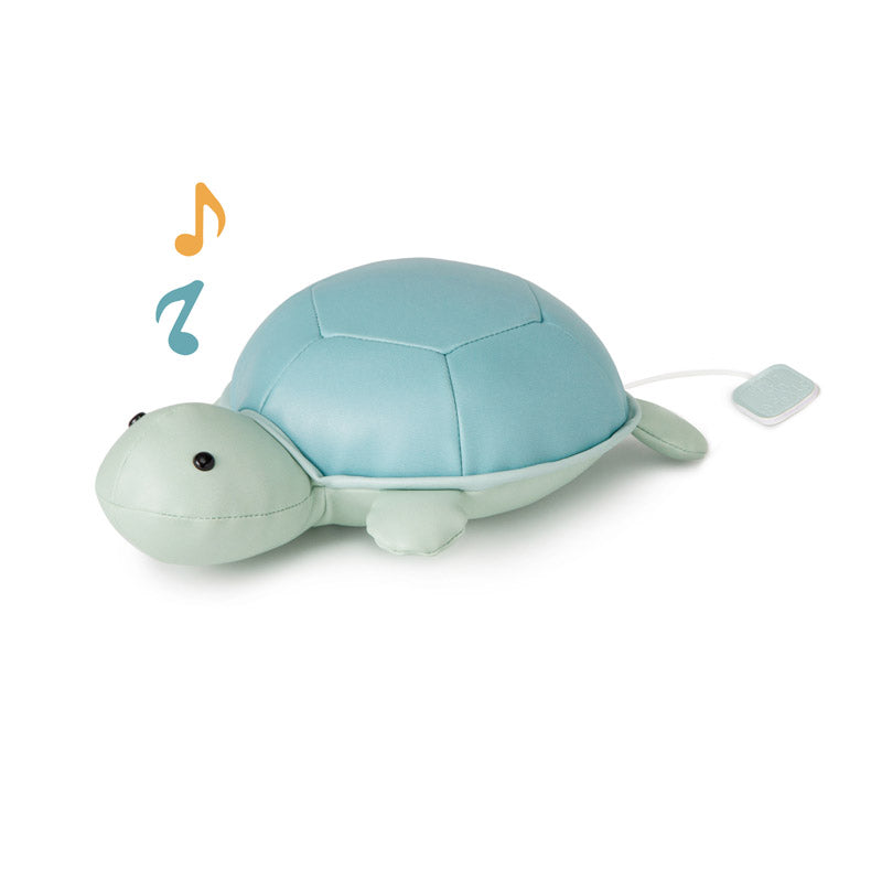 Emilia la Tortuga