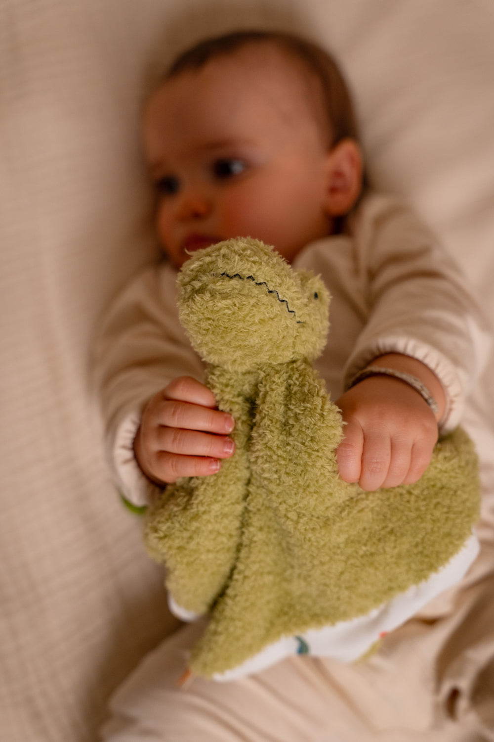 Peluche - Rex il Tirannosauro
