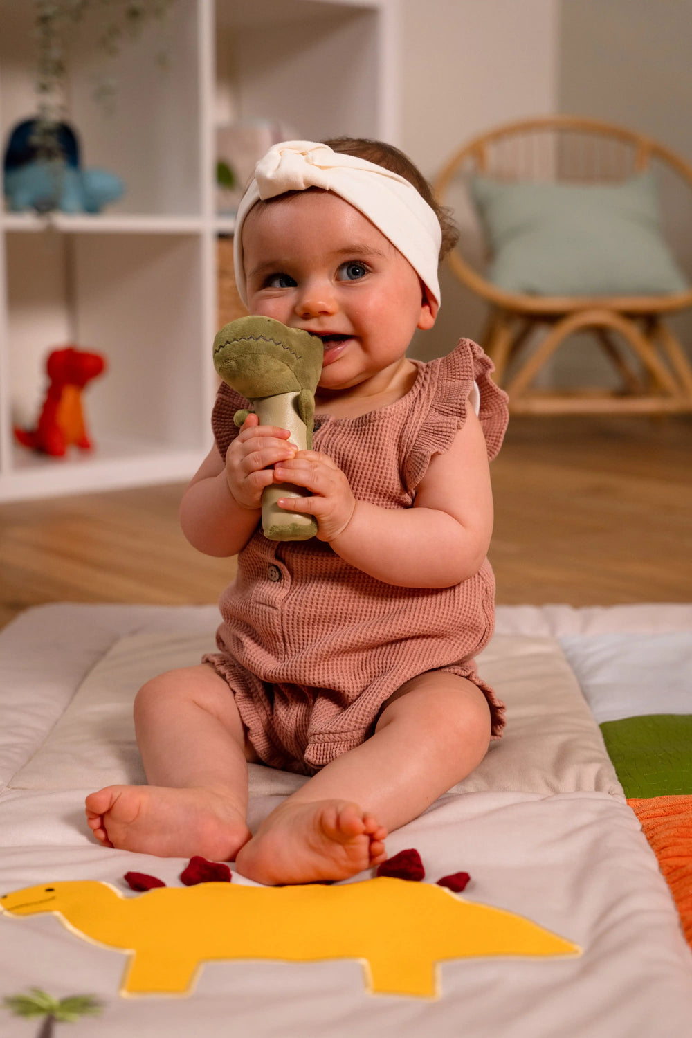 Baby Gift Box  - Dino friends