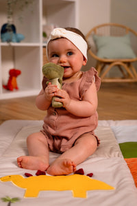 Baby Gift Box  - Dino friends