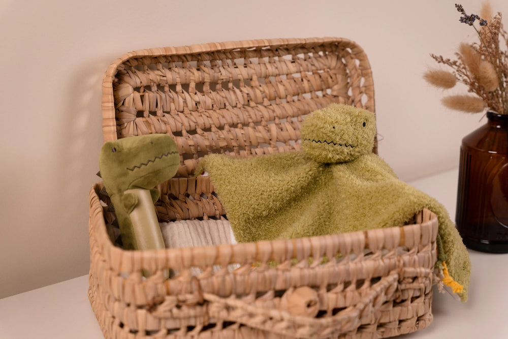 Baby Gift Box  - Dino friends