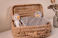 Baby Gift Box - Ocean